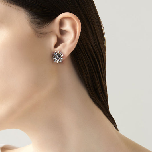 007560m01000 B 02.jpg