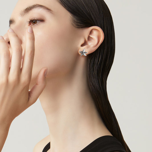 007996m01000 B 02.jpg