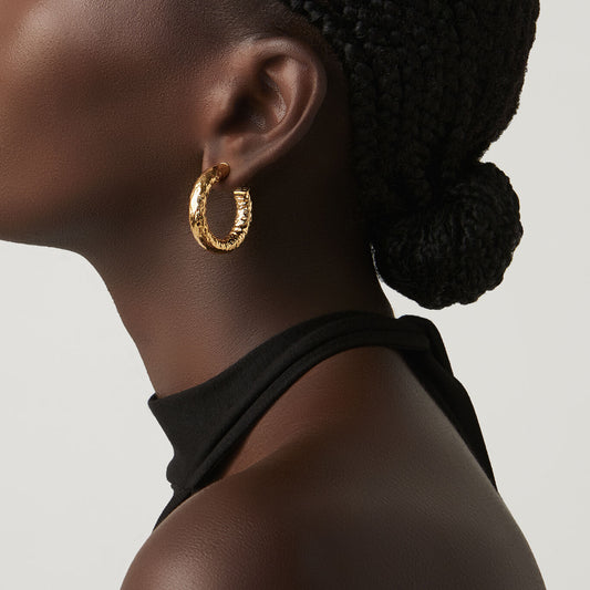 010243m02000 B 02.jpg