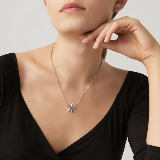 011225m01000 B 02.jpg