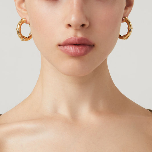 011586m02000 B 02.jpg