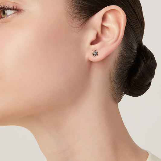 011811m01000 B 02.jpg