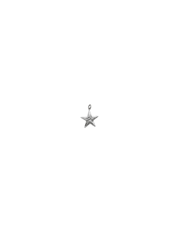 07001 Charmstella Giovanniraspini