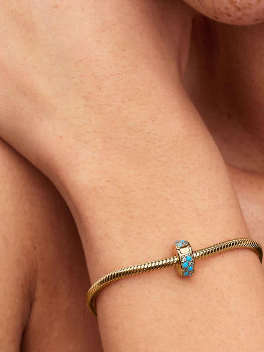 2025q2d Collection Moments Go Ac Tp Pdp Model Single 17 1x1 Rgb Charm