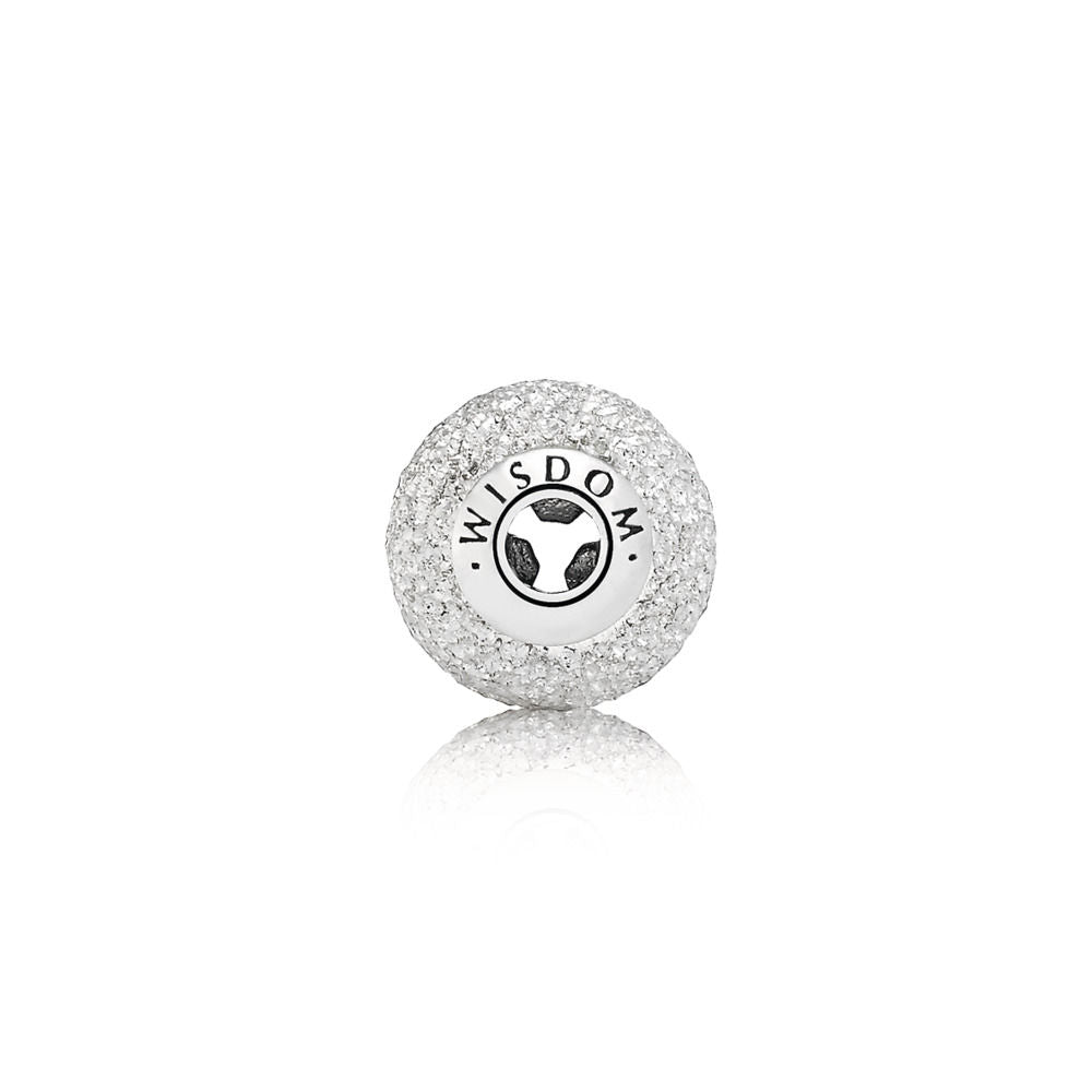 Pandora Essence Wisdom Charm 796016