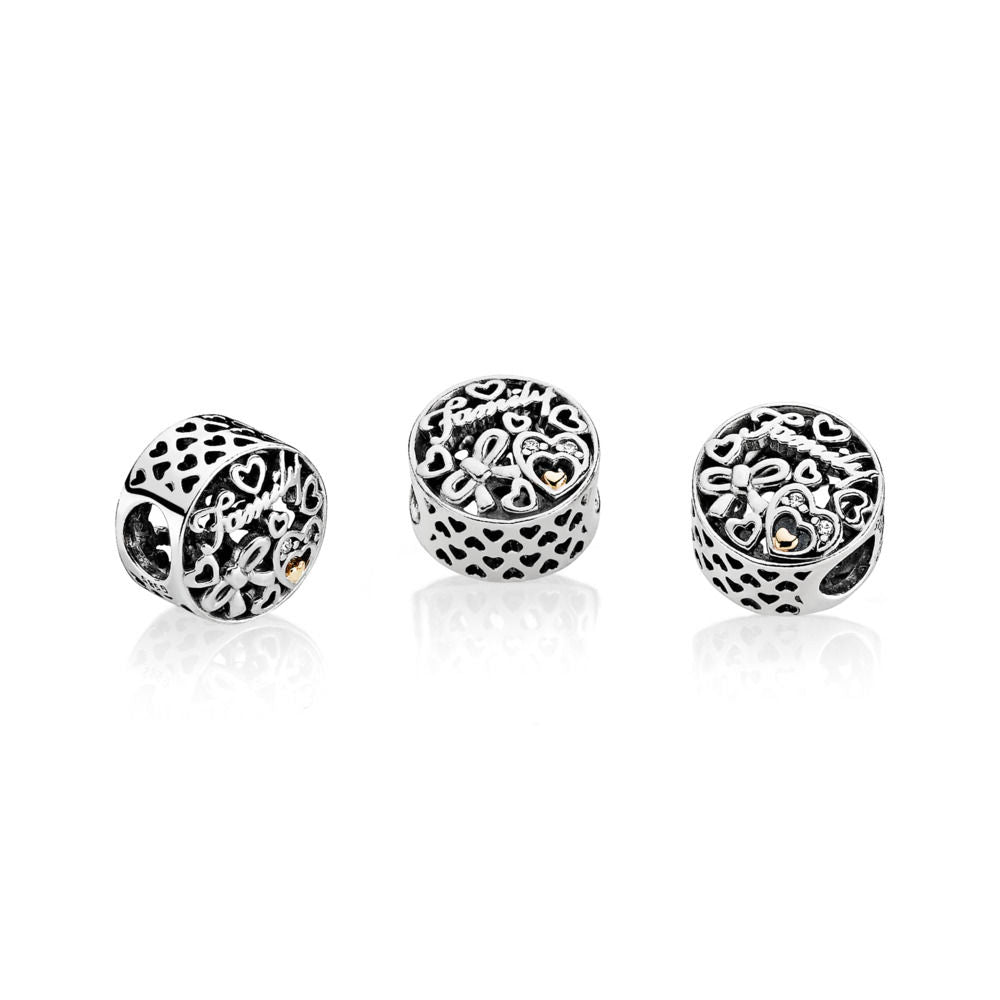 Pandora Family Charm 796267CZ