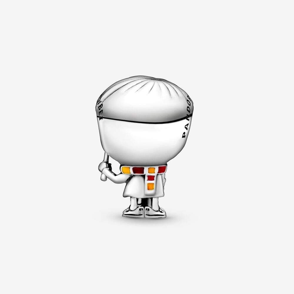 Pandora Harry Potter Charm 798626C01