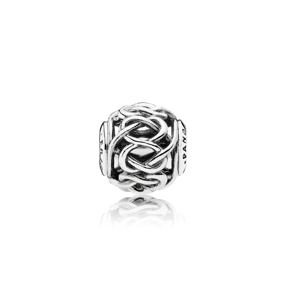 Pandora Friendship Charm 796057