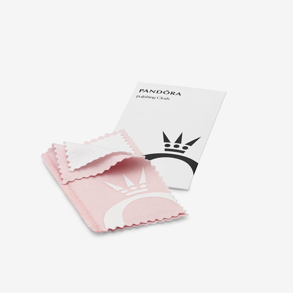 Care Kit Polishing Cloth Rgb