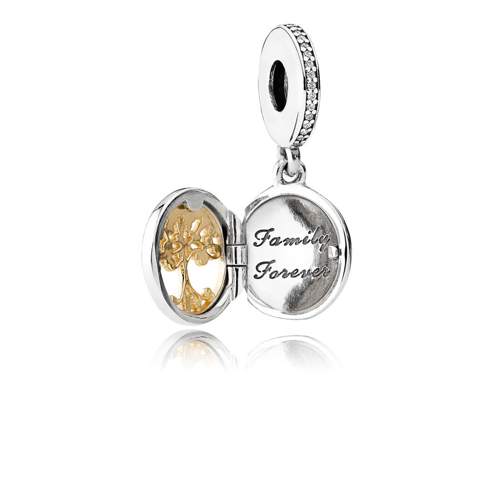 Pandora Family Charm 791988CZ