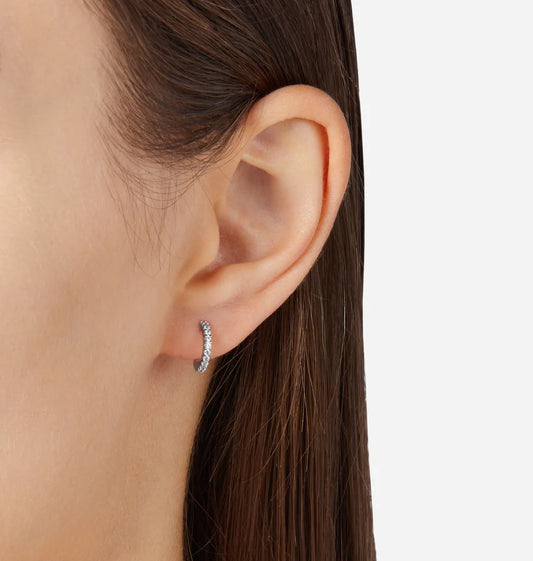 J19axd09 Silver Earrings.2 900x