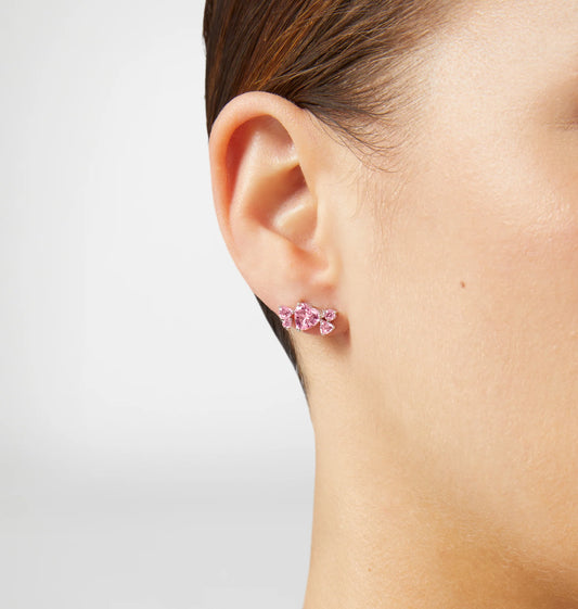 J19axd25 Silver Orecchini Pink.2
