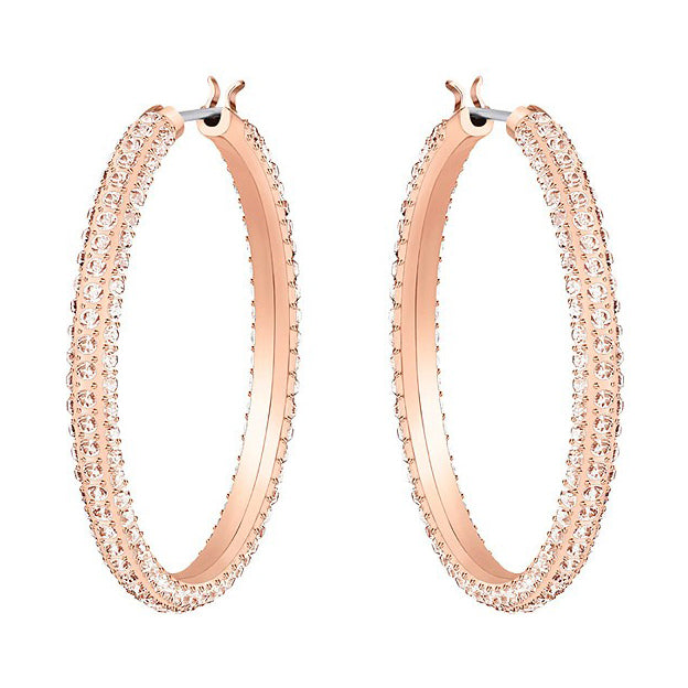 Swarovski Stone Earrings 5383938