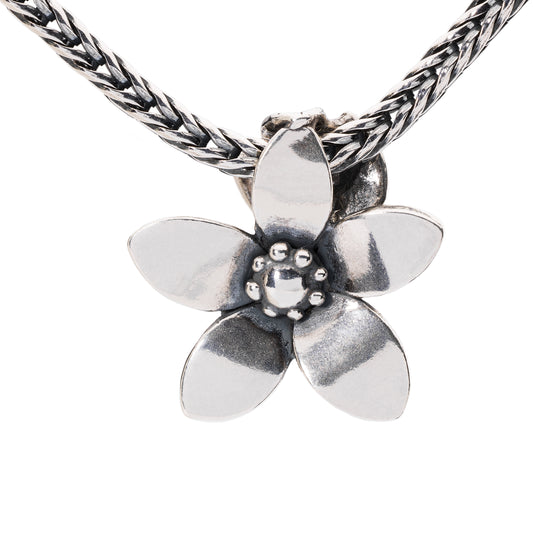 Ciondolo Trollbeads Poesia TAGPE-00014