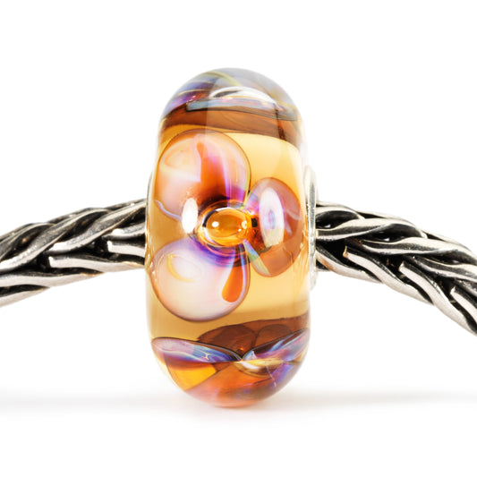 Bead Trollbeads Violette Ambra TGLBE-10169