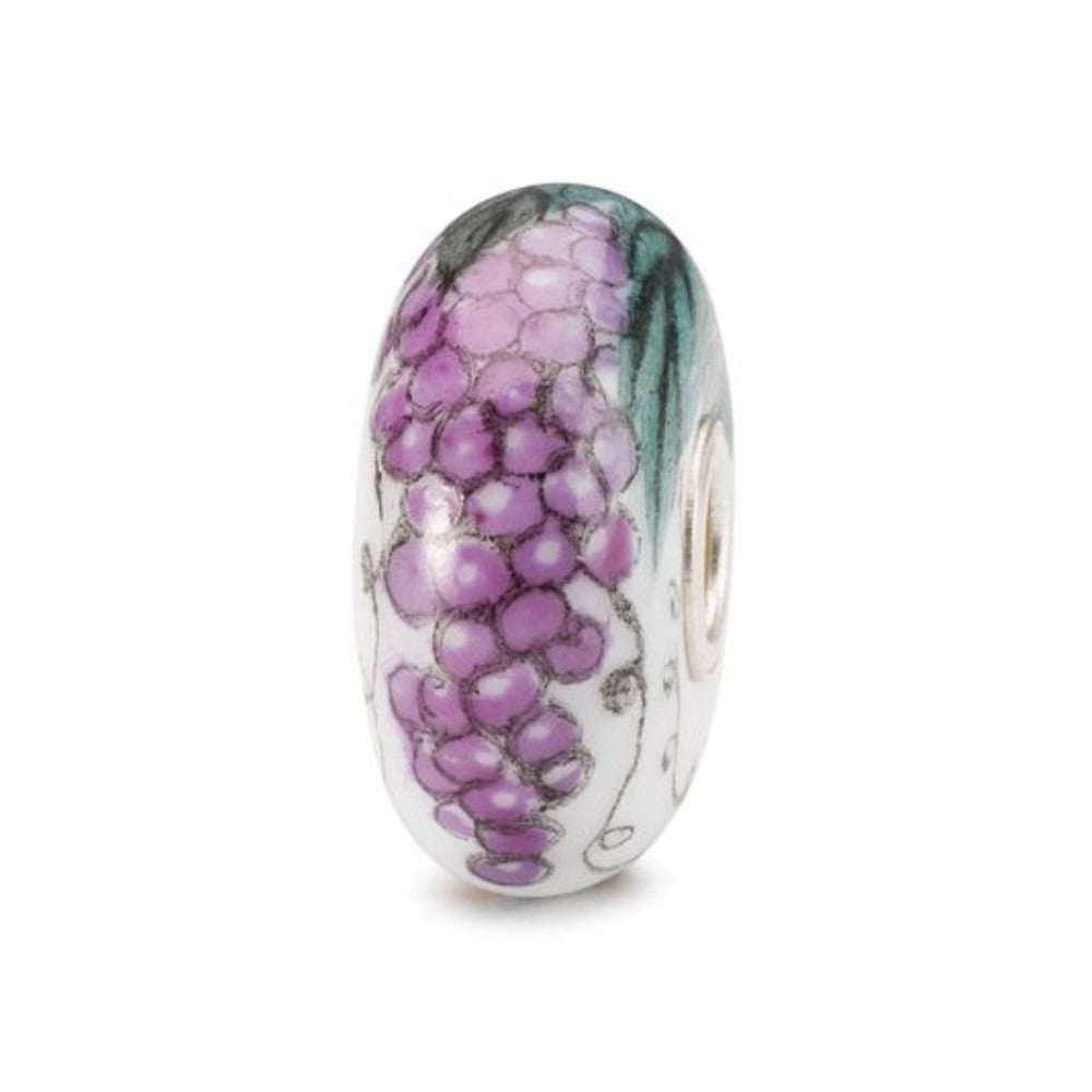 Trollbeads Harmony of Nature Bracelet