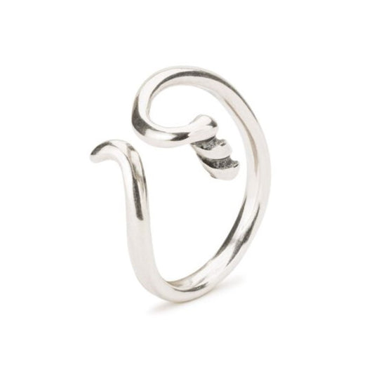 Trollbeads Autumn Wonders Ring TAGBO-01378