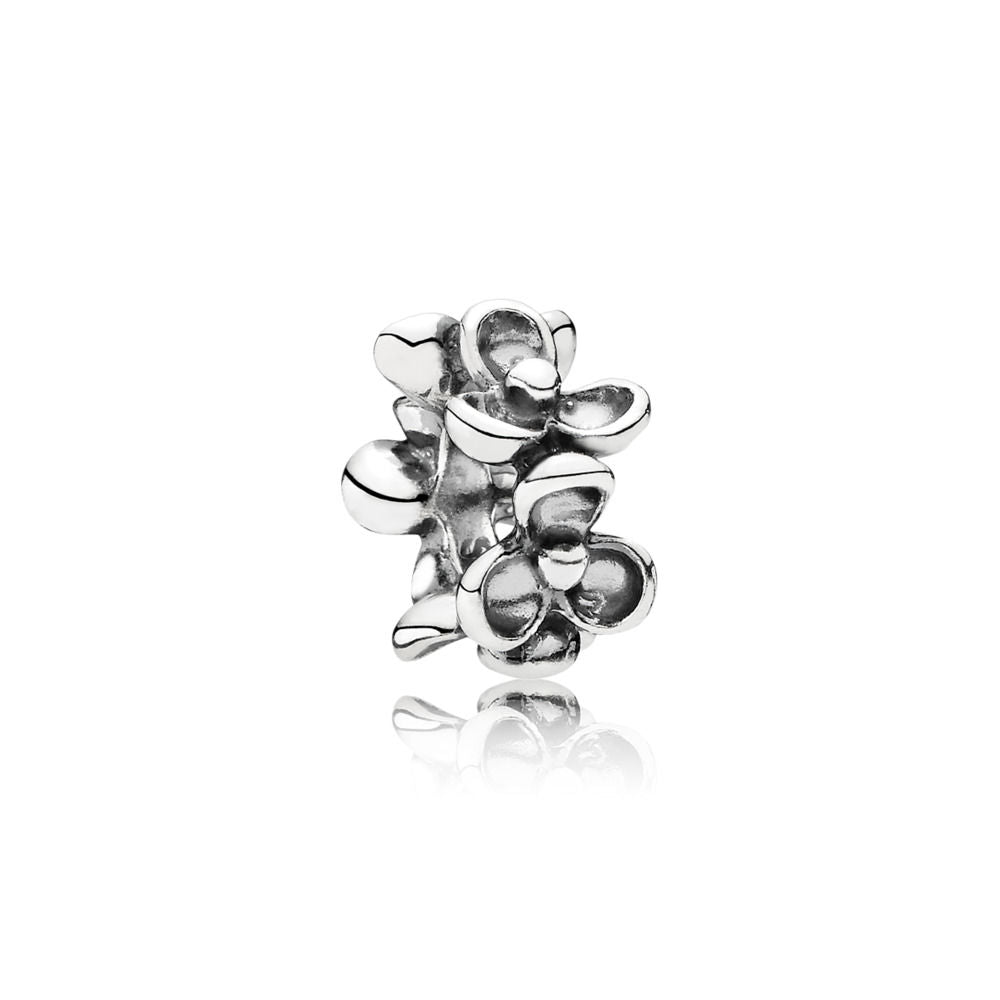 Charm Pandora Violette 790857