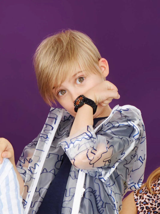 Zfcsp093 Li200 Ec001