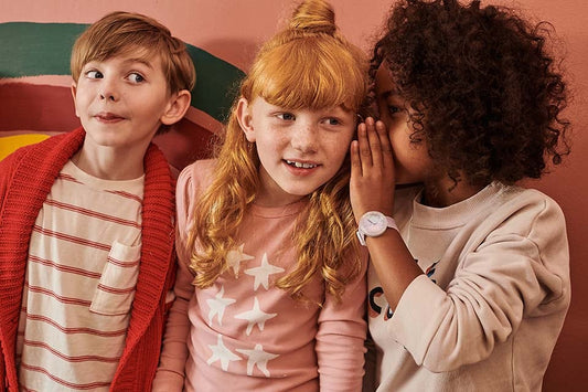 Zfcsp107 Li300 Ec001