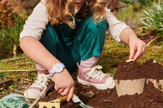 Zfpnp030c Li300 Ec001