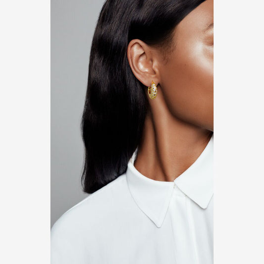 Pandora Sparkling Motif Hoop Earrings 268745C01