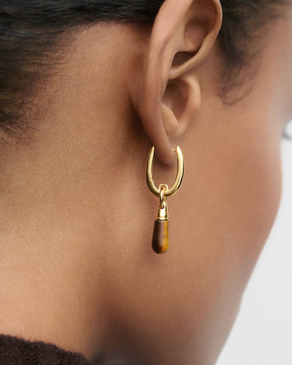 Piercing PD PAOLA Orecchino a cerchio singolo occhio di tigre Jupiter PGB1-376-U