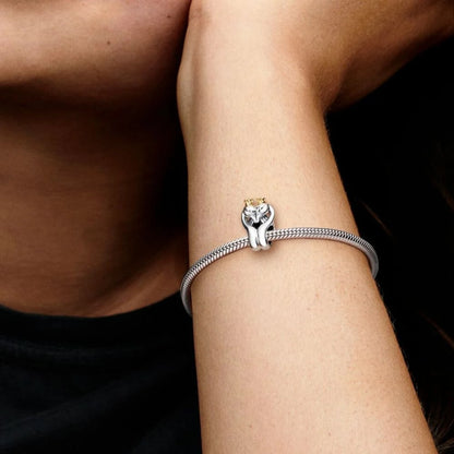 Charm Pandora Cigni e Cuore Bicolore 799315C00