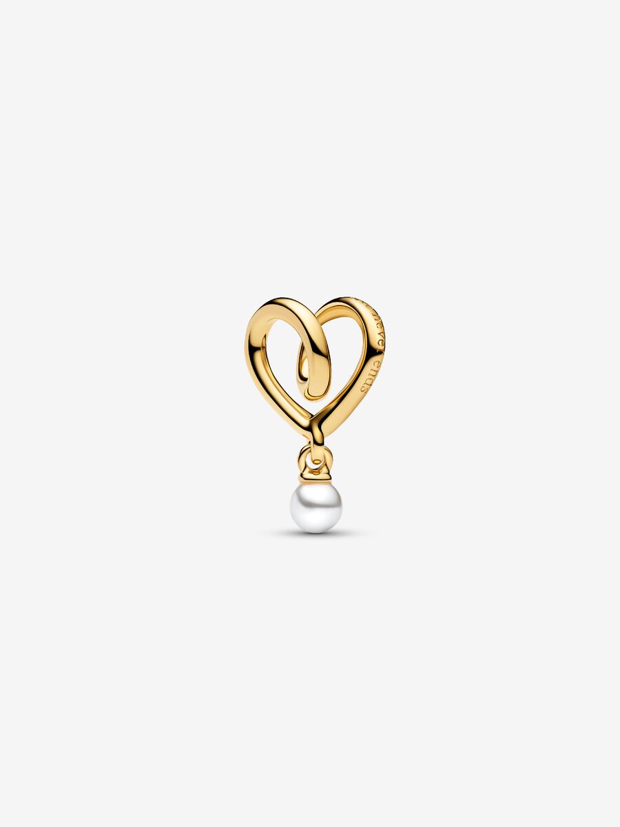 Charm Pandora Famiglia, Dove l'Amore è Infinito Placcatura in Oro 14k 764138C01