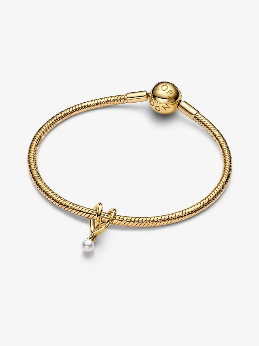 Pandora Charm Famiglia dove l'amore è infinito argento dorato 764138C01 Pandora Charm Famiglia dove l'amore è infinito argento dorato 764138C01