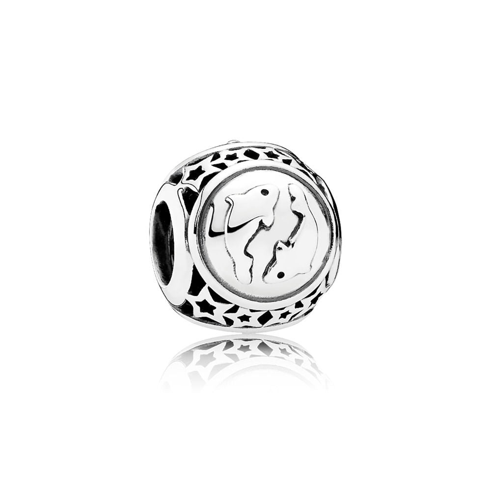 Pandora Charm Pisces 791935