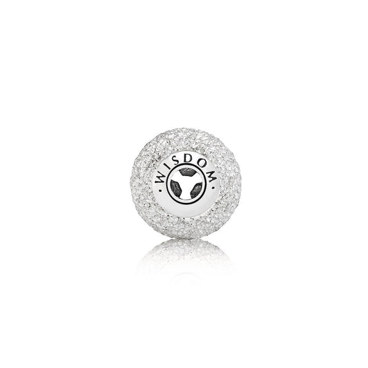 Pandora Essence Wisdom Charm 796016