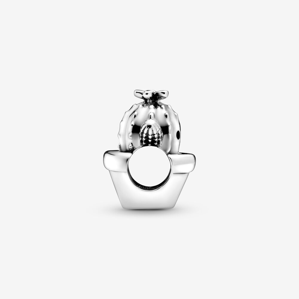 Pandora Cactus Charm 798786C01