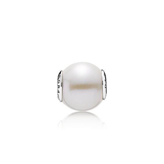 Pandora Dignity Charm 796068P