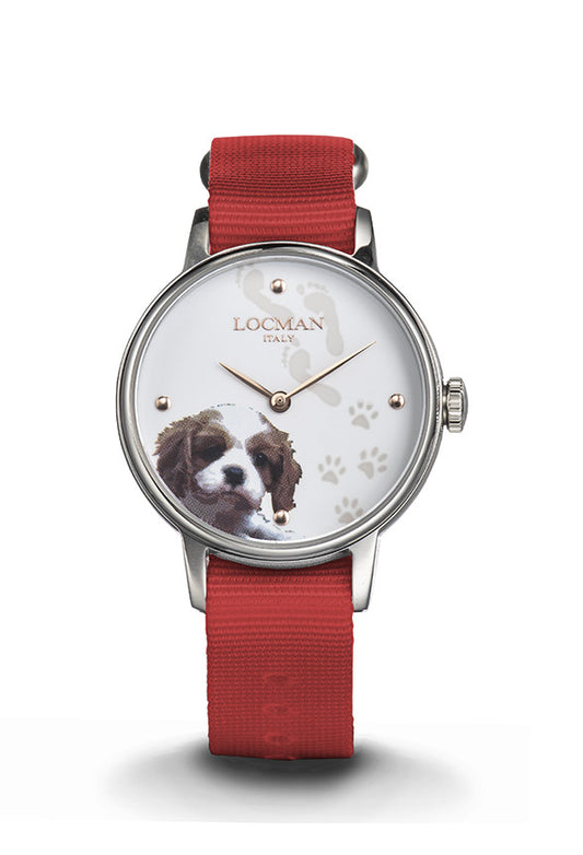 Orologio Locman 1960 Fantasy F253A08S-00WHCA1NR