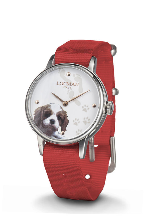 Orologio Locman 1960 Fantasy F253A08S-00WHCA1NR