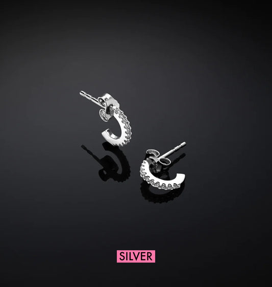 J19axd09 Silver Earrings.1 900x