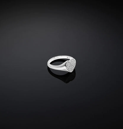 J19axd10 Silver Ring.3 900x