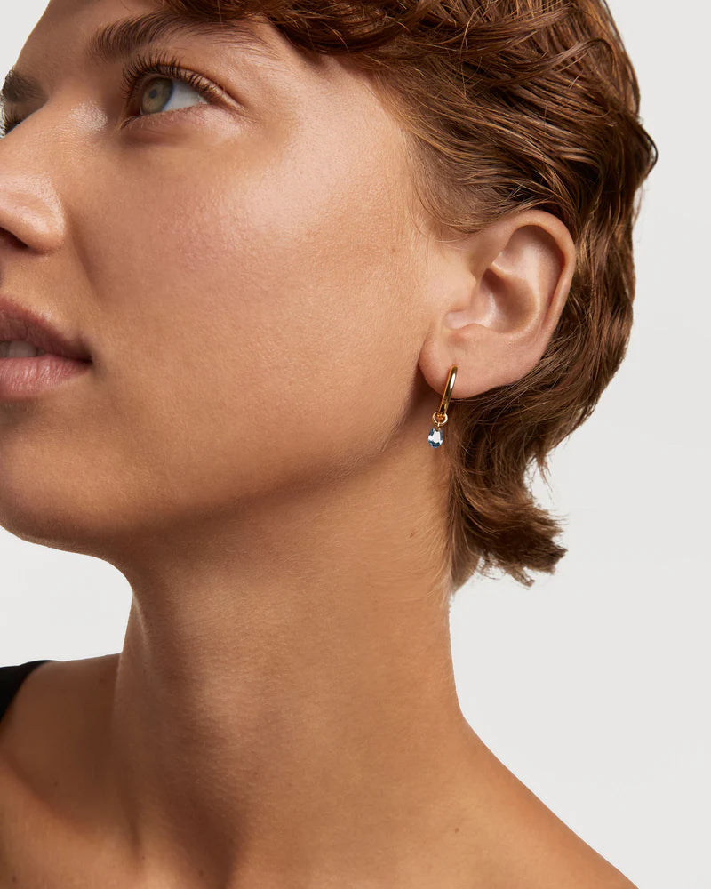 Orecchini PD PAOLA Lily Blue Hoop Earrings ARB1-894-U