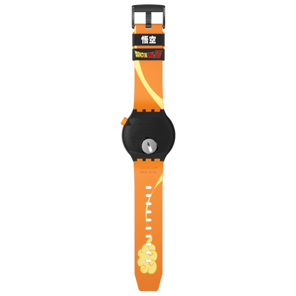Sb01z101 Sa300 Er003