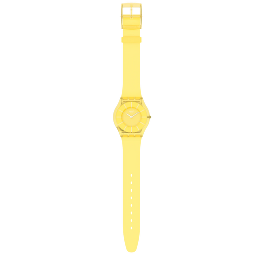 Ss08j100 Sa000 Er003