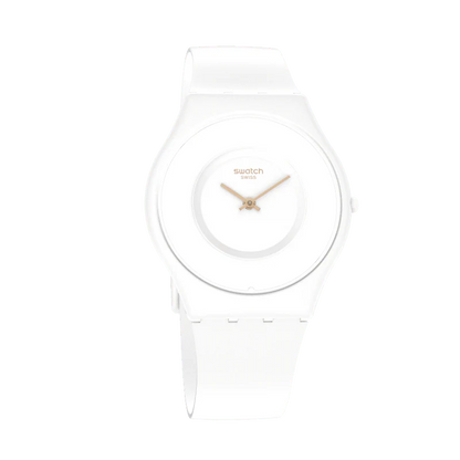 Ss09w100 2