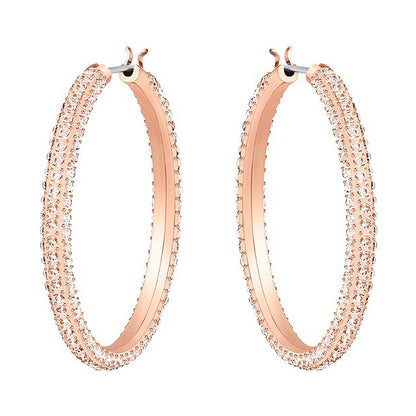 Swarovski Stone Earrings 5383938