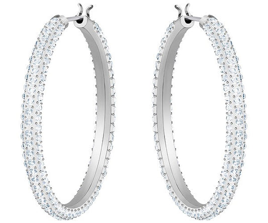 Swarovski Stone Earrings 5389432