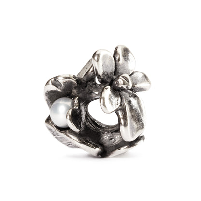 Bead Trollbeads Viola di Febbraio TAGBE-00028