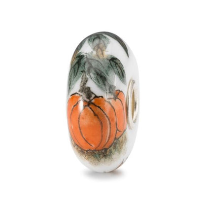 Trollbeads Harmony of Nature Bracelet