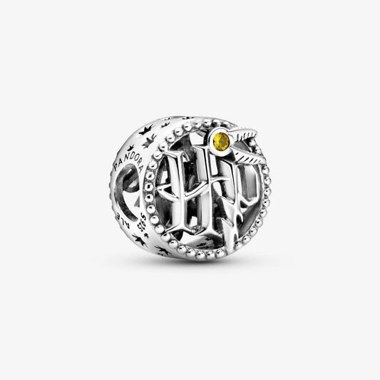 Charm Pandora Harry Potter Icone con Lavorazione Openwork 799127C01