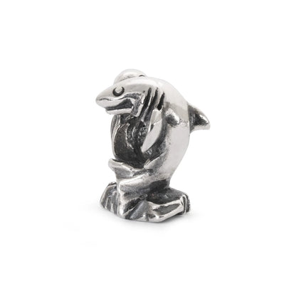 Bead Trollbeads La Cima di Cape Town TAGBE-30073