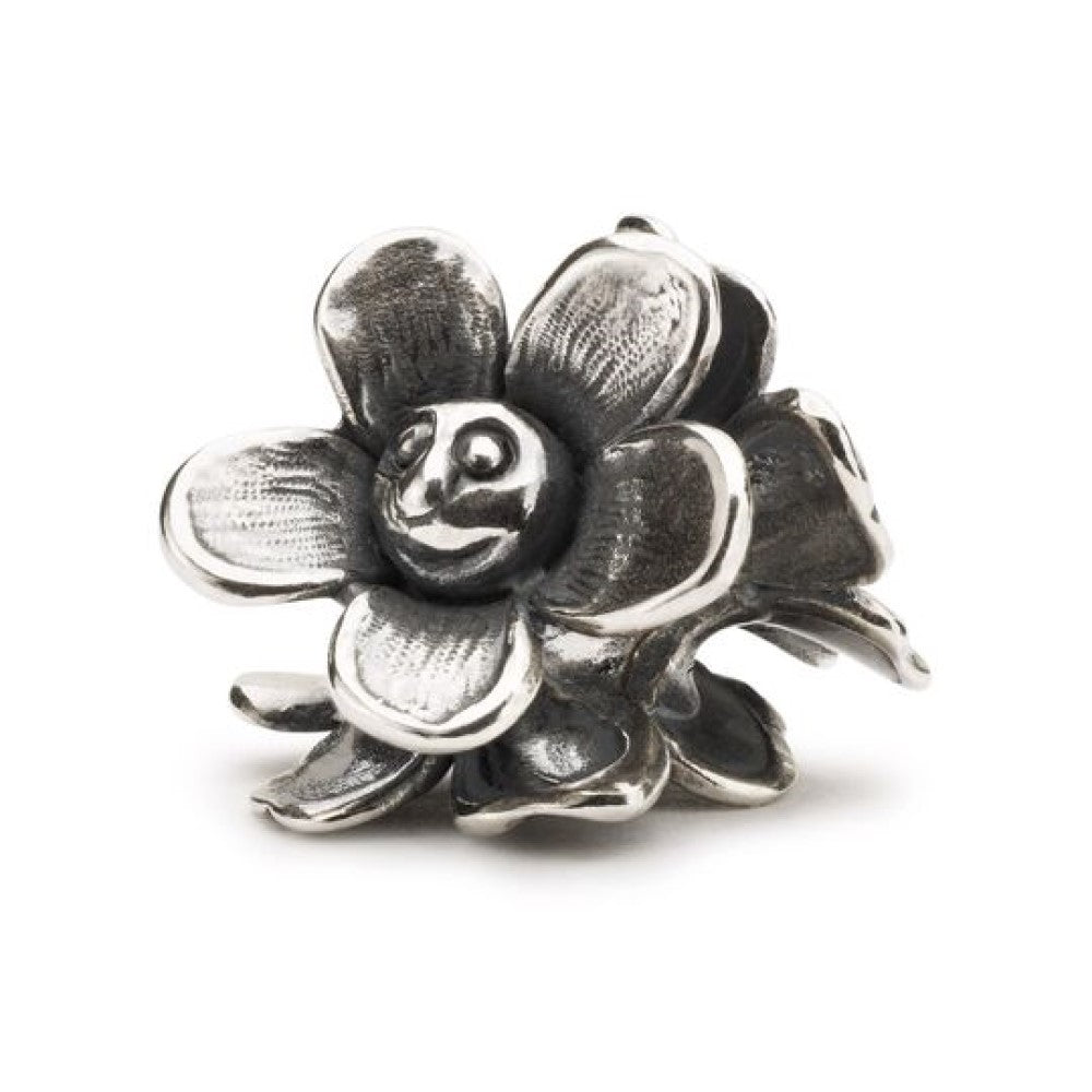 Collana Trollbeads Storia Felice TAGBO-01258