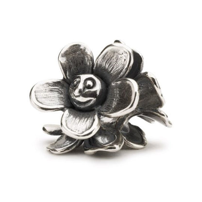 Collana Trollbeads Storia Felice TAGBO-01258